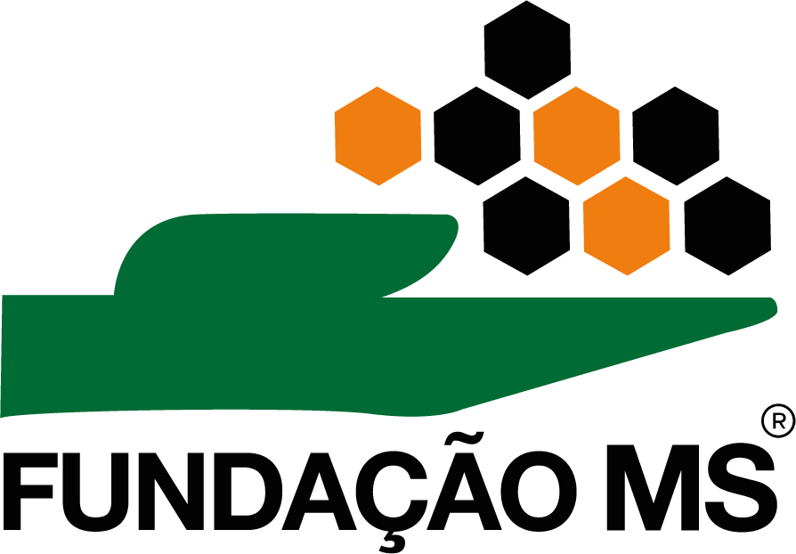 Fundação MS Logo